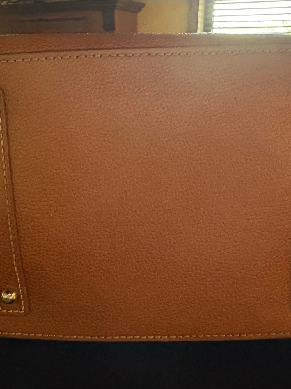 Dooney & Bourke Logo Lock Toscana Leather Shoulder Bag AND Pouch-Lily